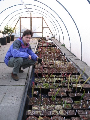 Keith in polytunnel