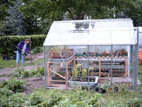 greenhouse