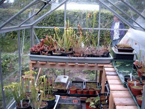 greenhouse